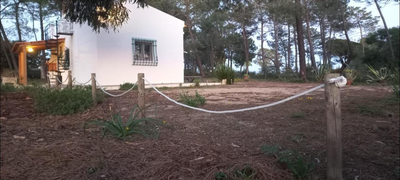 Casa Do Pinheiro - Parque Natural Da Ria Formosa. Тавира Экстерьер фото